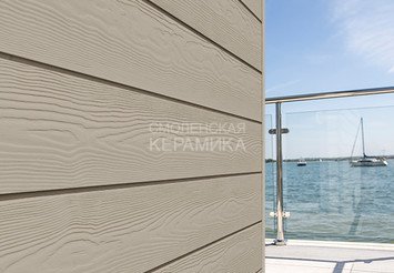 Доска Cedral Click Wood 3600 mm C03 Белый песок 1
