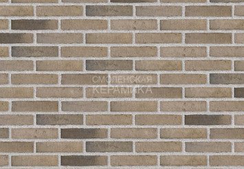Клинкерный состаренный кирпич Randers Tegl Unika RT 517, ECO-DNF 228X50X54 мм 1