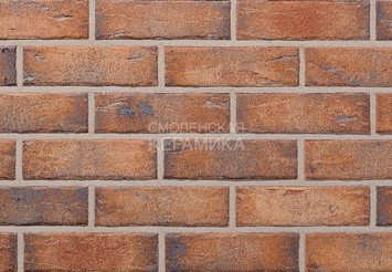 Клинкерная плитка фасадная Röben MANUS Java carbon NF14 1