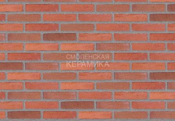 Клинкерный состаренный кирпич Randers Tegl Classica RT 448, ECO-DNF 228X50X54 мм 3