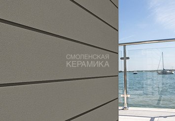 Доска Cedral Click Smooth 3600 mm C59 Дождливый лес 1