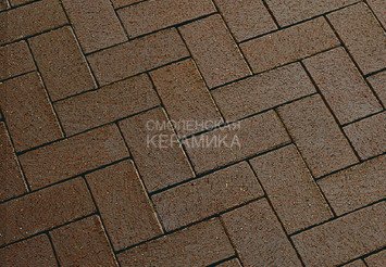 Тротуарный клинкер Feldhaus Klinker umbra plano P502SKF 200x100x40 1
