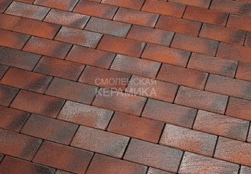 Тротуарный клинкер Feldhaus Klinker gala ferrum P409KF 200x100x45 1