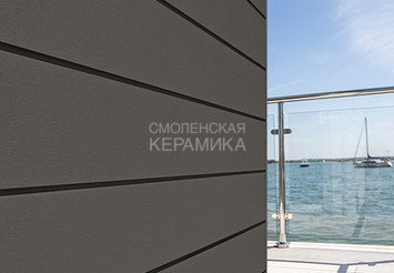 Доска Cedral Click Smooth 3600 mm C60 Сумеречный лес 1
