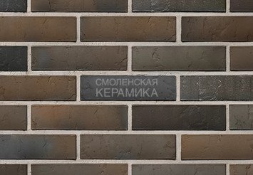 Кирпич с утолщенной стенкой BRAER MAX Limited, терра, 1 НФ 1