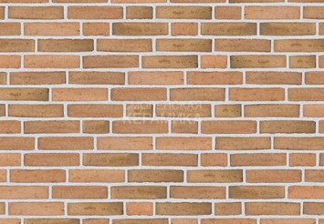 Клинкерный состаренный кирпич Randers Tegl Classica RT 433, ECO-DNF 228X50X54 мм 4