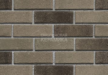 Клинкерная плитка фасадная Röben MANUS Kyra carbon NF14 1
