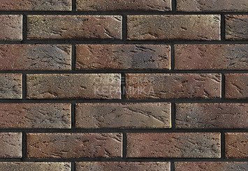 Кирпич с утолщенной стенкой BRAER MAX 55.08.1 1