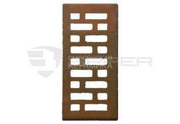 Кирпич с утолщенной стенкой BRAER MAX 72.03 5