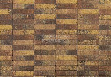 Тротуарная плитка Паркет BRAER, Color Mix