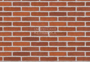 Клинкерный состаренный кирпич Randers Tegl Classica RT 483, ECO-DNF 228X50X54 мм 1