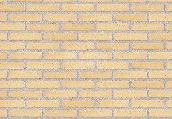 Клинкерный состаренный кирпич Randers Tegl Classica RT 207, ECO-DNF 228X50X54 мм 1