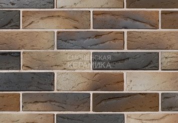 Кирпич керамический BRAER PRO 5.06, 1 НФ 3