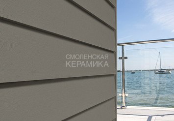 Доска Cedral Lap Smooth 3600 mm C53 Сиена минерал 1