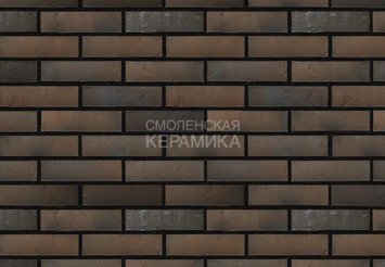 Кирпич с утолщенной стенкой BRAER MAX Нуар, терра, 1 НФ 4