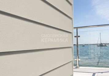 Доска Cedral Lap Smooth 3600 mm C07 Зимний лес 1