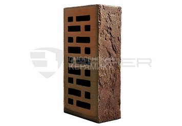 Кирпич с утолщенной стенкой BRAER MAX 55.08.1 6