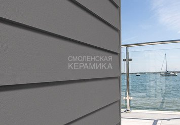 Доска Cedral Lap Smooth 3600 mm C54 Пепельный минерал 1