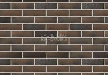 Кирпич с утолщенной стенкой BRAER MAX Нуар, терра, 1 НФ 2