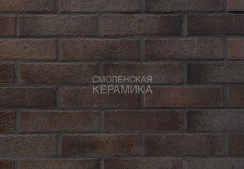 Кирпич лицевой пустотелый 1НФ 