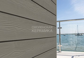 Доска Cedral Click Wood 3600 mm C59 Дождливый лес 1