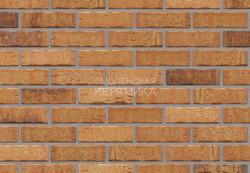Клинкерный кирпич Feldhaus Klinker K684WDF sintra nolani ocasa 1