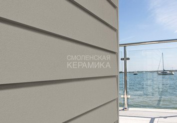 Доска Cedral Lap Smooth 3600 mm C52 Жемчужный минерал 1