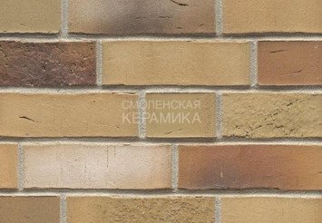 Клинкерный кирпич Feldhaus Klinker K915NF vario sabiosa elabi 1
