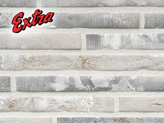 Фасадная плитка Real Brick «Extrа» Беленый дуб