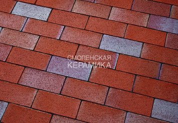 Тротуарный клинкер Feldhaus Klinker gala alea P405SKF 200x100x40 1