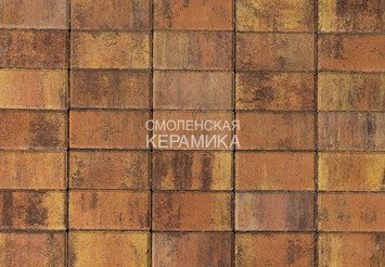 Тротуарная плитка BRAER Прямоугольник Color Mix Прайд, 40 мм 1