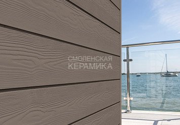 Доска Cedral Click Wood 3600 mm C55 Кремовая глина 1