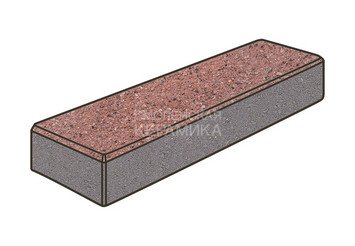 Тротуарная плитка Готика, Паркет Premiun Gold, 300x100x60 мм, цвет Голд 8 1