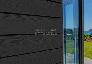 Доска Cedral Lap Wood 3600 mm C50 Тёмный минерал 1