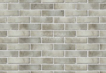 Кирпич с утолщенной стенкой BRAER MAX 72.03 2