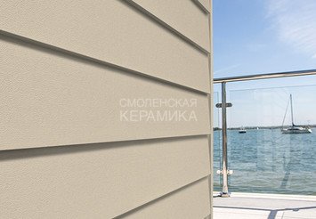 Доска Cedral Lap Smooth 3600 mm C02 Солнечный лес 1