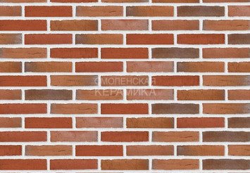 Клинкерный состаренный кирпич Randers Tegl Classica RT 436, ECO-DNF 228X50X54 мм 2