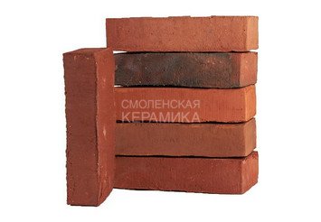 Клинкерный состаренный кирпич Randers Tegl Fusion RT 571, DNF 228X108X54 мм 5