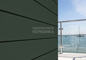 Доска Cedral Click Smooth 3600 mm C31 Зеленый океан 1